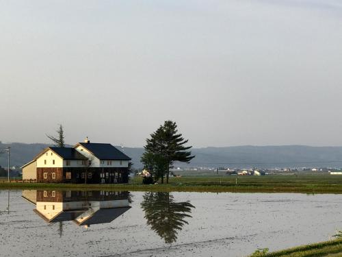 a house in the middle of a flooded field at Gufo no Mori Kamifurano in Kami-furano