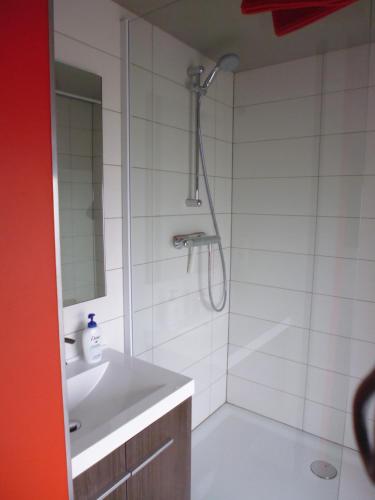 een badkamer met een douche en een wastafel bij Gîte Les 4 Vins in Longlier