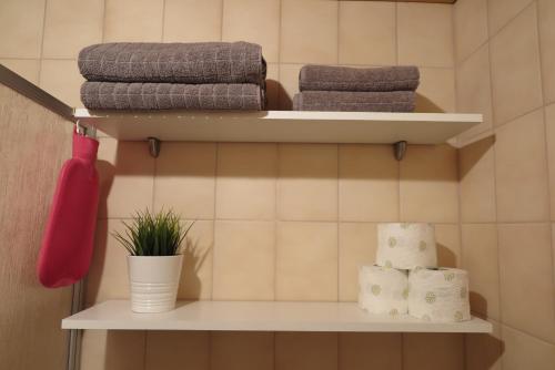 ein Badezimmerregal mit Handtüchern und einer Pflanze darauf in der Unterkunft FeWo Gipfelglück in Willingen