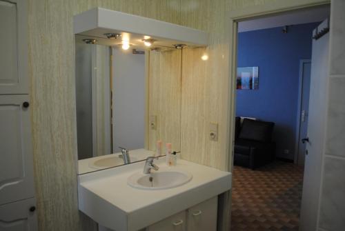 a bathroom with a sink and a mirror at Columbia in Ostend