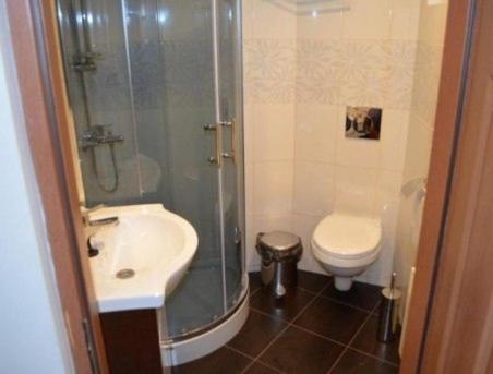 a bathroom with a shower and a sink and a toilet at Leśny Dwór in Wisła