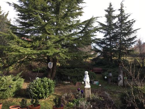 Gallery image of Villa-Magdi Vendégház in Révfülöp