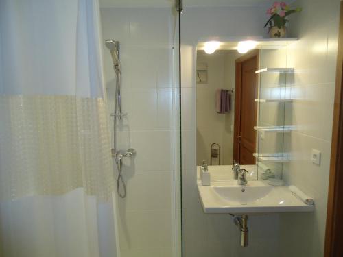 La salle de bains est pourvue d'une douche et d'un lavabo. dans l'établissement appartement, à Calvi