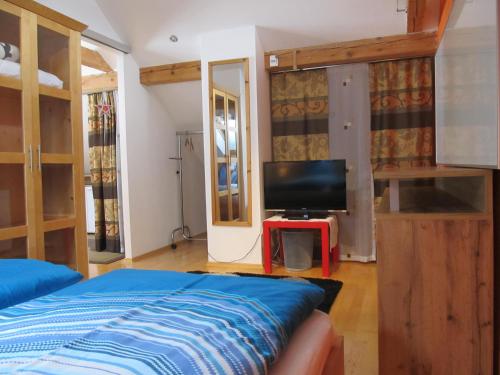 a bedroom with a bed and a tv on a table at Ferienhaus Waldsicht in Flachau