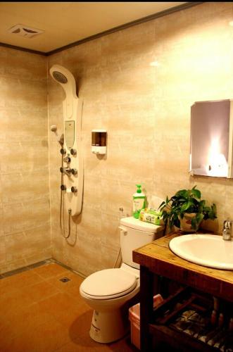 a bathroom with a shower and a toilet and a sink at Sky lounge B&B in Zhushan