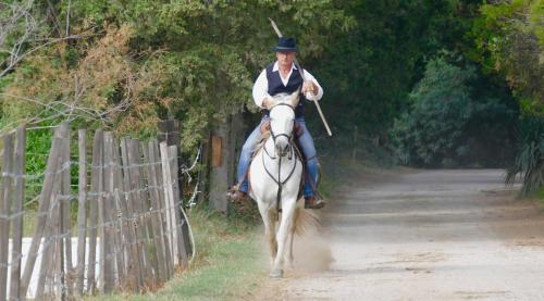 a man riding a white horse down a dirt road at Le Mas d'Icard in Saintes-Maries-de-la-Mer