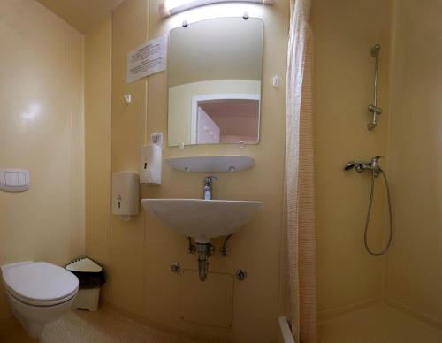 a bathroom with a sink and a toilet and a mirror at Saint Ignatius Retreat House in Ljubljana