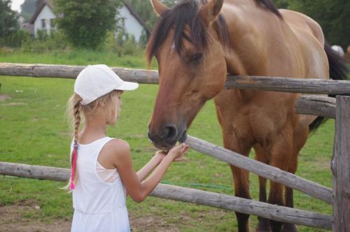a young girl petting a brown horse behind a fence at Stilove Wydmy in Sasino