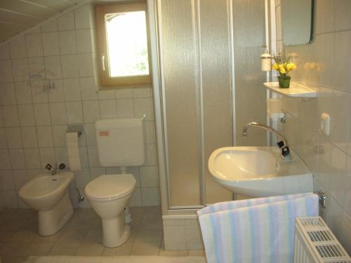 a bathroom with a toilet and a sink at Haus Ebner in Sankt Gilgen