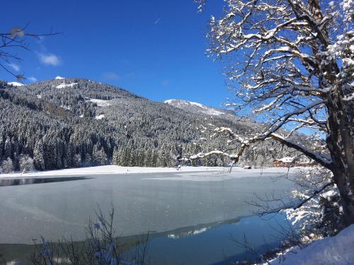 a view of a snow covered lake with a mountain at Familienhotel Botenwirt in Kleinarl