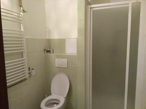 a small bathroom with a toilet and a shower at Hotel Lidový dům in Nový Hrozenkov