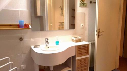 Un baño con un lavabo blanco y un espejo. en Appartement la Charbonnière, en Bellefosse