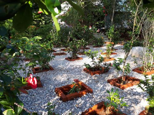 Amritham Holidays Homestay Trivandrumにある庭