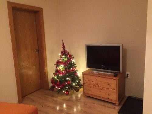 un albero di Natale su una cassettiera accanto a un televisore di Beška a Bešeňová