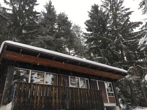 ein schneebedecktes Haus mit Bäumen im Hintergrund in der Unterkunft Villa Borca di Cadore in Borca di Cadore