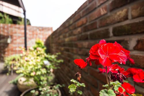 Ein Garten an der Unterkunft Roseto Hotel