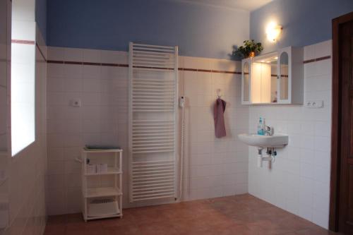 y baño con ducha blanca y lavamanos. en Country house - Slapy/Pazderny en Žďár