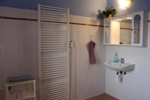 a bathroom with a shower and a sink at Country house - Slapy/Pazderny in Žďár