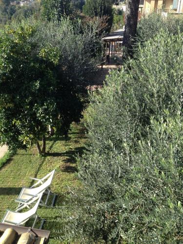 a row of white chairs in a garden with bushes at Hotel Tempio di Apollo in Olgiata