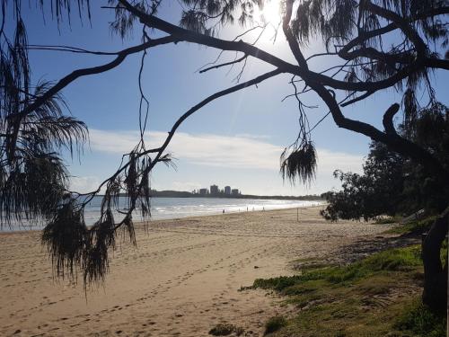 a view of the beach from under a tree at Excellsior Apartments in Mooloolaba