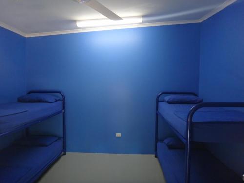 a blue room with three bunk beds in it at Cable Beach Backpackers in Broome