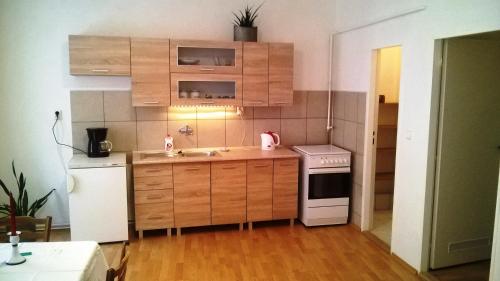 a kitchen with wooden cabinets and a sink and a stove at Skromný apartmán v centru Chebu in Cheb
