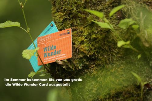 a sign on the side of a tree at Ferienwohnungen Orth in Lassing