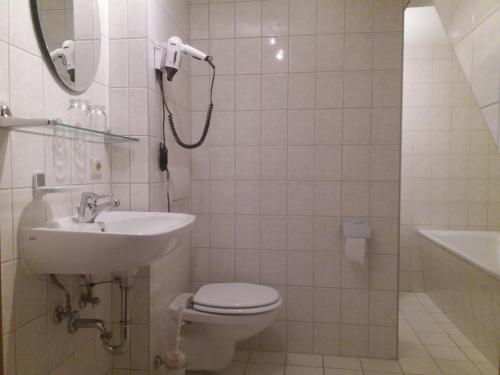 a bathroom with a toilet and a sink and a shower at Windmühlenhof in Dittmannsdorf