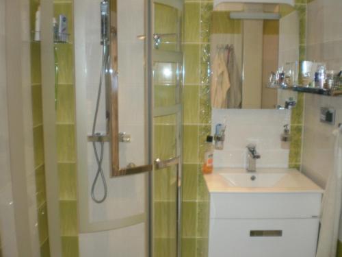 y baño con ducha y lavamanos. en AKI - 2 +KK en Brno