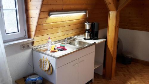 eine kleine Küche mit einem Waschbecken in einem Zimmer in der Unterkunft Villa Goldbrunnen Ferienwohnung 3 in Bad Elster