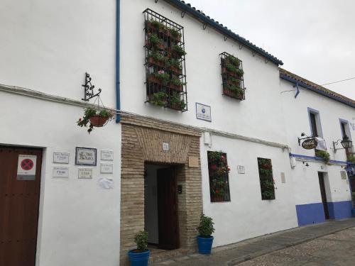 Casa longa
