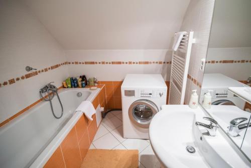 a bathroom with a washing machine and a sink at Horský apartmán Špindlerův Mlýn in Krausovy Boudy