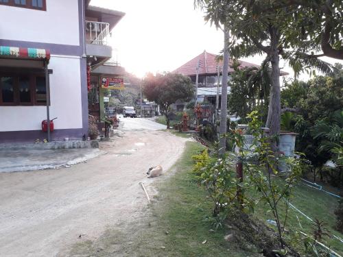 a cat sitting on the side of a dirt road at Easy Life Bungalows in Haad Yao