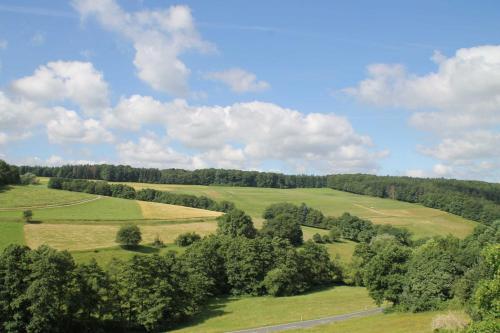 an overhead view of a field with trees and a road at Hainhof Gaestewohnungen in Bad König