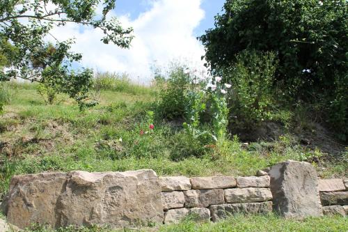 a stone wall in front of a grassy field at Hainhof Gaestewohnungen in Bad König