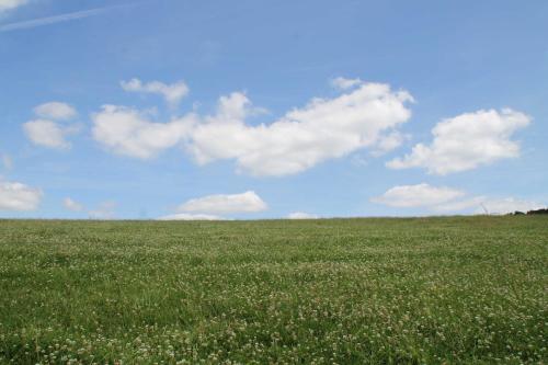 a field of green grass with a blue sky and clouds at Hainhof Gaestewohnungen in Bad König