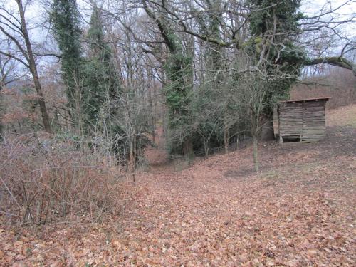 a wooden shed in the middle of a forest at Fouettara in Firminy