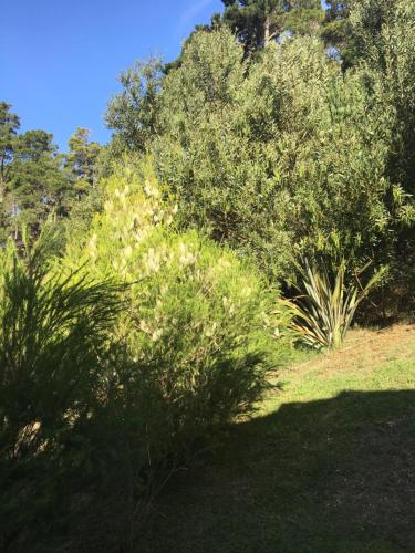 Cabaña Aires del Bosque – Photos 3