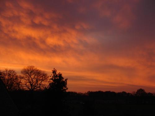 an orange sunset with trees in the foreground at Hotel de Reiziger in Ottersum