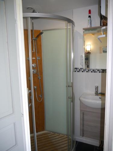 une salle de bain avec douche et lavabo dans l'établissement La Baie Saint Jean Face Mer, à Wimereux