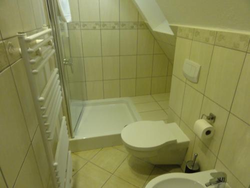 a small bathroom with a toilet and a shower at Chata nad Sztolnią in Bystrzyca Górna