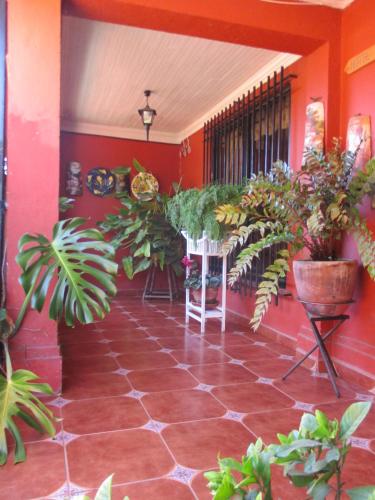 a room with a bunch of potted plants in it at Hotel Boutique Las Azucenas in Constitución