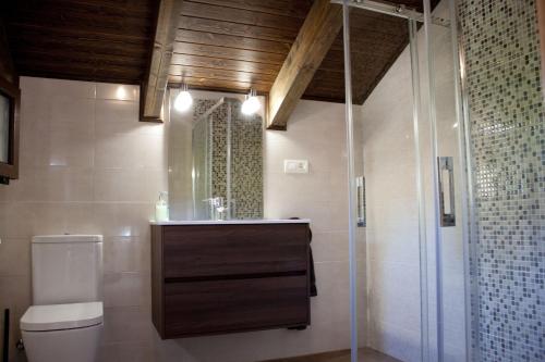 a bathroom with a toilet and a glass shower at La Panera del Carbain in Soto del Barco