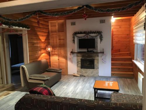 a living room with a couch and a fireplace at Ekodom in Voropayev
