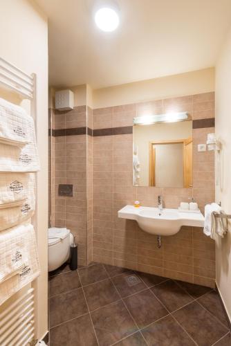 a bathroom with a sink and a toilet and a mirror at Apartments Budinek in Kranjska Gora
