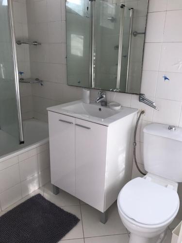 a bathroom with a toilet and a sink and a shower at Apartamento Lisboa-Alameda in Lisbon