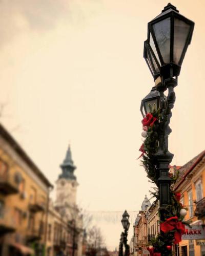 Galería fotográfica de Guest House Relić en Sombor