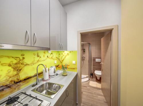 Kuchyň nebo kuchyňský kout v ubytování Apartments Postic