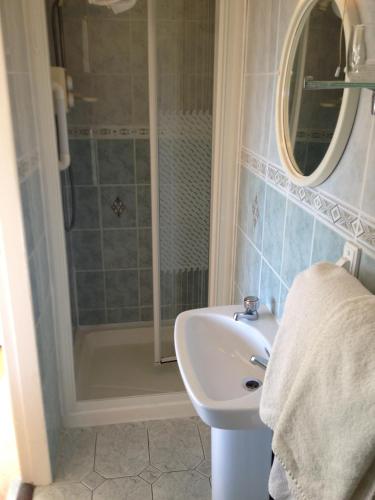 a bathroom with a sink and a shower at Danabel in Kinsale