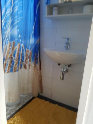 a bathroom with a sink and a shower curtain at vakantiehuisje Cottage in Aagtekerke